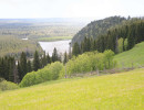 sarchik002