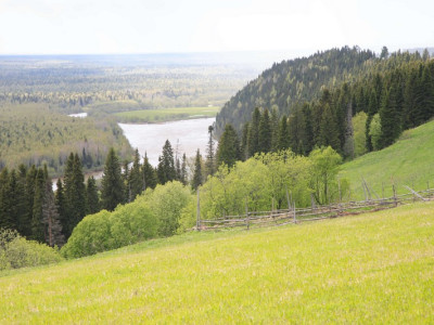 sarchik002