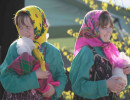 sarchik013