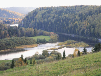 sarchik027