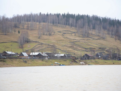 vetlan018
