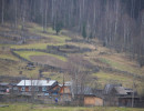 vetlan020