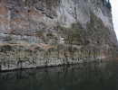 vetlan056