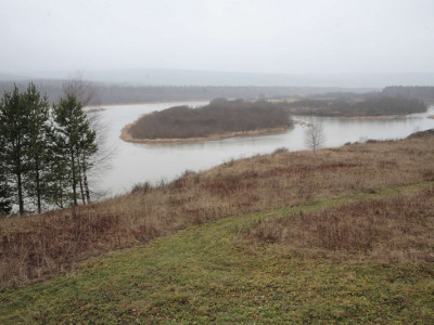 vetlan069