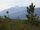 visherskij zapovednik015