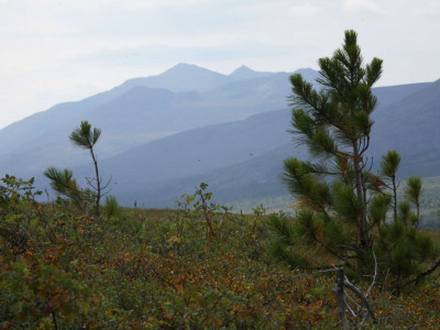visherskij zapovednik015