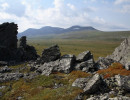 visherskij zapovednik019