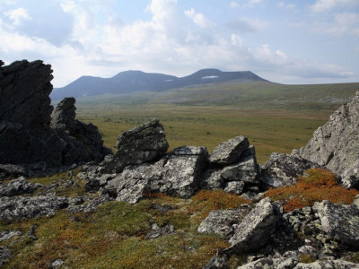 visherskij zapovednik019
