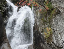 visherskij zapovednik239