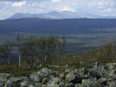 visherskij zapovednik326