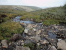 visherskij zapovednik371