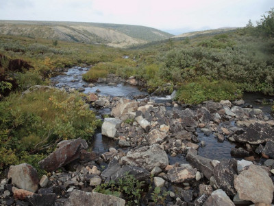 visherskij zapovednik371