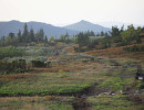 visherskij zapovednik377
