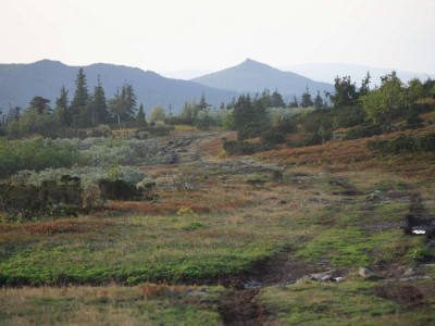 visherskij zapovednik377