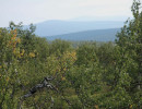 visherskij zapovednik552
