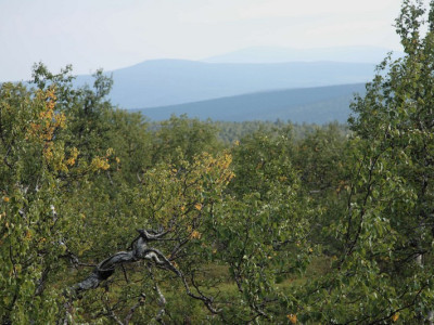 visherskij zapovednik552