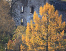 pyskor  