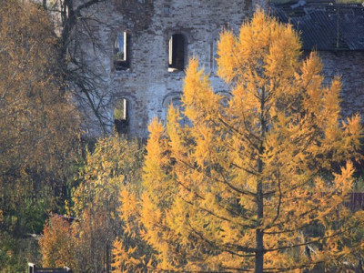 pyskor  