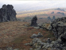 vystavka ve014