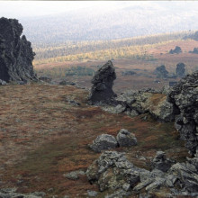 vystavka ve014