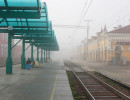 vystavka ve017