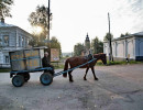 vystavka ve023
